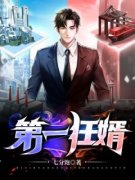 《第一狂婿》叶鸿方媛全章节在线