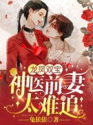 老书虫力荐《龙凤双宝：神医前妻
