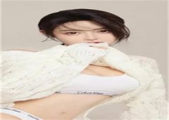 桑落霍司擎小说（桑落霍司擎）笔