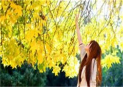 姜纪元周柏辞知乎小说_(姜纪元周柏