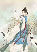 宴南曦铖钰小说全文免费阅读宴南