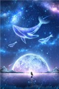 纪时晴梁瑾（纪时晴梁瑾）全文免