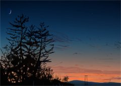 陆夜沈至欢全文免费阅读_（陆夜沈