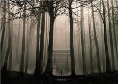 白倾心宫凌夜小说知乎（白倾心宫