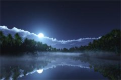 星月之期(星月之期)全文免费阅读大