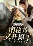 精彩小说南苏秦西律报告总裁：南