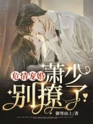 老书虫看了N遍的危情宠婚：萧少，