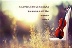 沈予卿周晋年（沈予卿周晋年）全