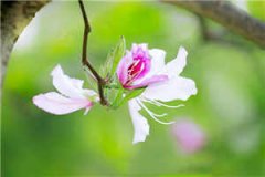 重生之逆袭当宠妻（池棠陈俞）全