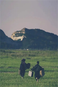 纪墨何晶晶全文在线阅读无弹窗大