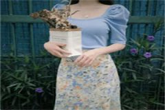 钟先生情难自禁（苏眠钟南衾）全