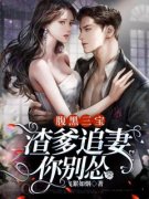 腹黑三宝：渣爹追妻你别怂舒婳顾