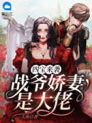 好书推荐《四宝来袭，战爷娇妻是