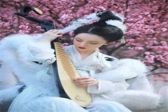 保送内定后我摆烂面对小说（陆添