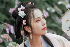 日出未晓知乎（洛晚吟慕夜白）免