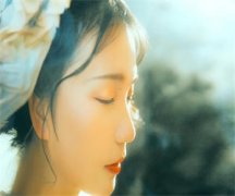 苏念陆祁琛小说（苏念陆祁琛）全