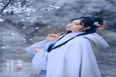 许宣贺亦川小说（许宣贺亦川）全