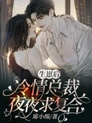 《生崽后，冷情总裁夜夜求复合》
