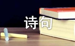 红楼梦诗句摘抄汇总