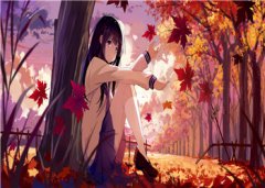 穆云绾沈淮之（穆云绾沈淮之）全