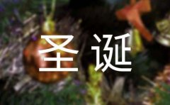 常用唯美圣诞节祝福朋友圈文案（