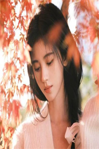 装怪难缘知乎小说（秦风林美丽小