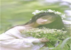 姜枝兰周易泽全文免费阅读大结局