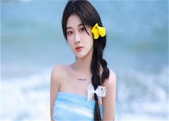 陆屿白安苒(陆屿白安苒)全文免费阅
