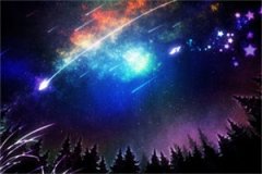 陆大佬的软萌影后(林若兮陆景衍