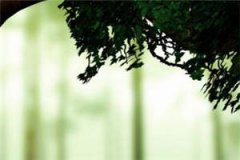 徐可意姜柯陈衍全文在线阅读_徐可