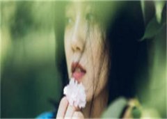 沈忱（云中碧叶）全文免费阅读_（