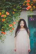 总裁冲动（温佩琪顾明承）全文免