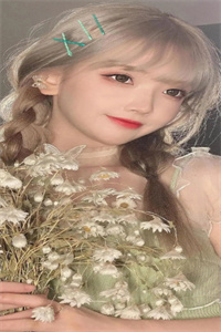 绿茶之术知乎（谌律蒋娉婷许纵）