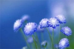 予西书（藤原信岩宫泽千西）全文
