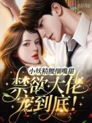 经典小说旖旎梦境精彩试读