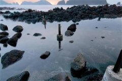 岑芙许砚谈小说全文免费阅读大结