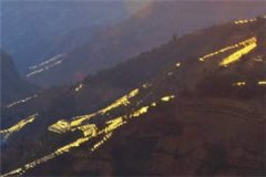 苏烟郑天成全文免费阅读_（末世治
