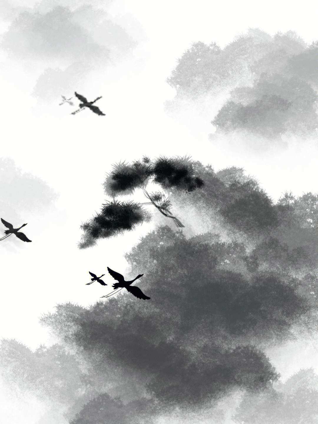 寒门枭龙