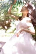 时淮序桑宁（时淮序桑宁）全文免
