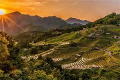 青丘绵绵无恨期(温慕枝沈池旻)小说