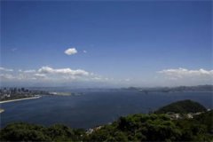 重生新婚夜她撩翻了病娇大佬(墨景