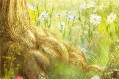 锦鲤花季知乎小说_(穆云云穆污污