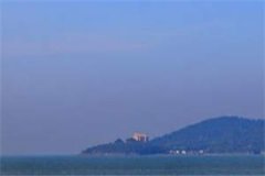 宋知羽傅时浔全文小说在线阅读_