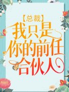 总裁，我只是你的前任合伙人池慕