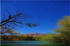 （爱在云海之上）全文免费阅读_（