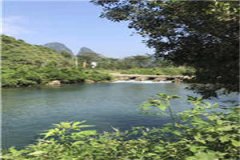 (徐若微靳霄)小说全文阅读_(徐若微