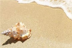破锅烂盖(时誉林浅)热门小说全文阅