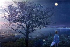 抖音迟沐芷顾君宸by迟沐芷顾君宸在