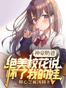 《神豪奶爸：绝美校花说怀了我的