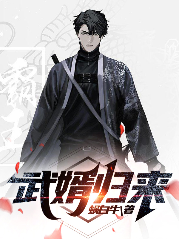 武婿归来